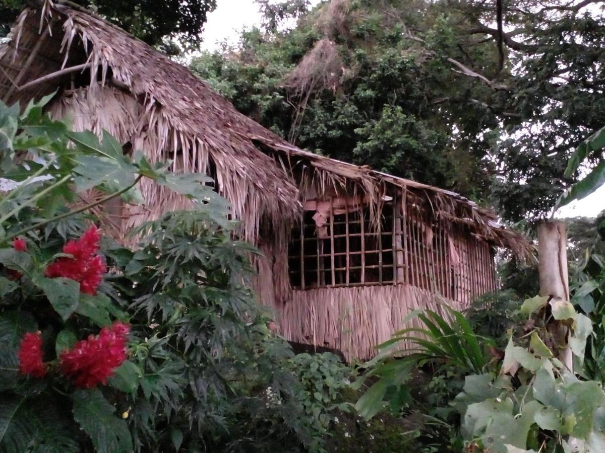 El Bamboo Cabins Balgue Exterior foto