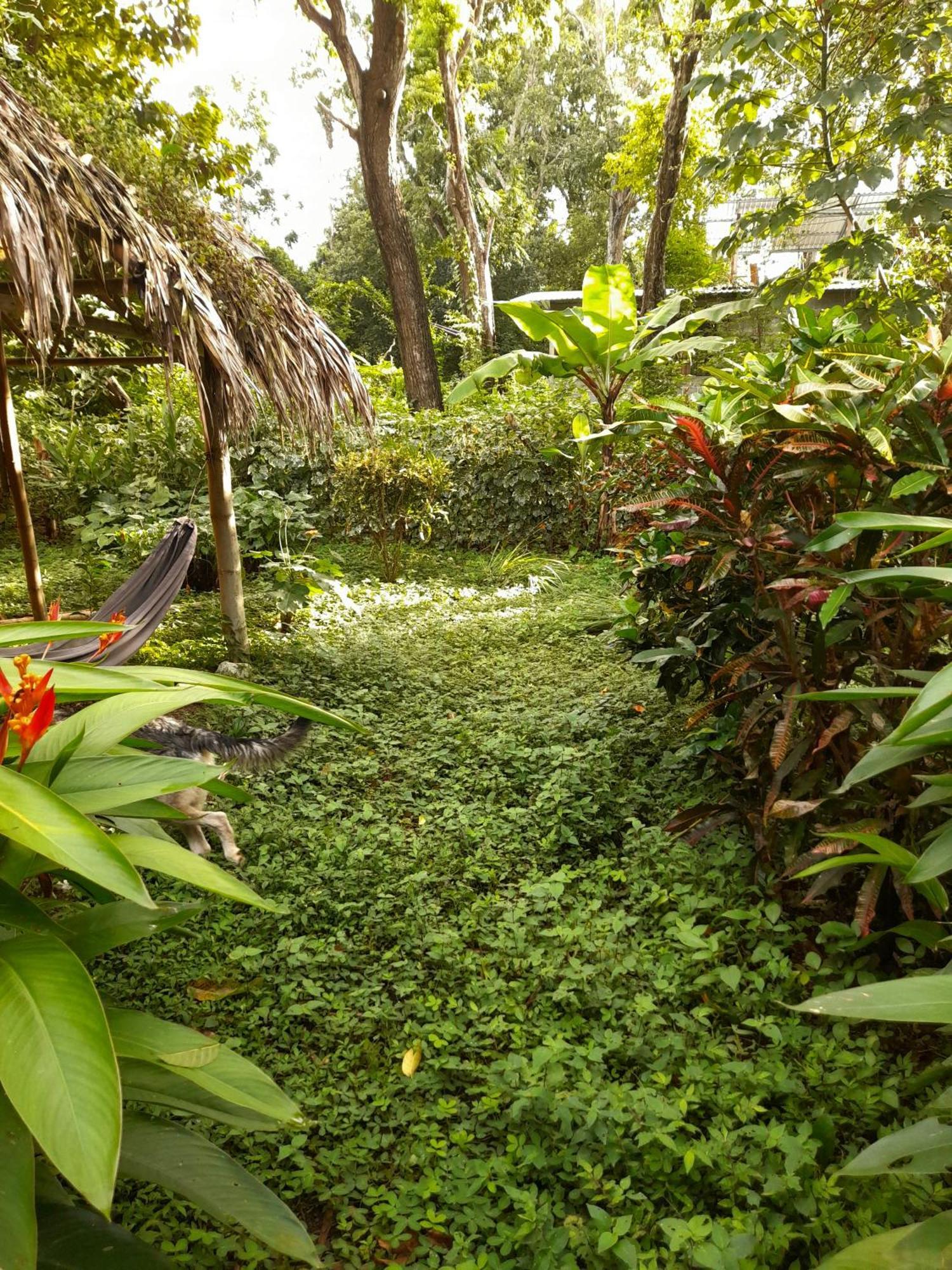 El Bamboo Cabins Balgue Exterior foto