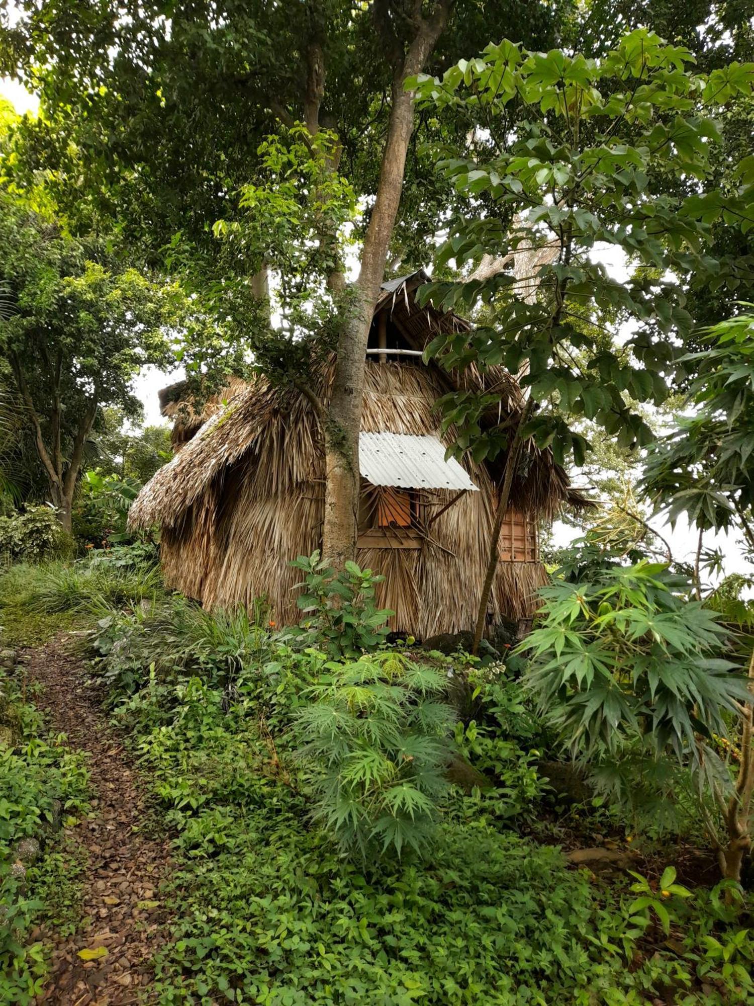 El Bamboo Cabins Balgue Exterior foto